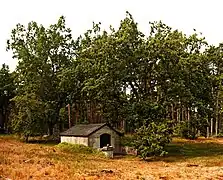 Petit bâtiment avec une forêt à l'arrière-plan.