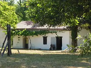 Hôtellerie, dans une ferme landaise avec treille