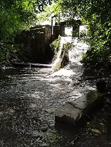 Les Harpies et le moulin à Bousies.