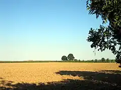 Le moulin se dressait exactement au bouquet d'arbres actuel, un peu à l'écart du village, sur la droite du chemin menant à Ferrières.