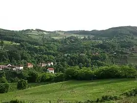 Božurevac