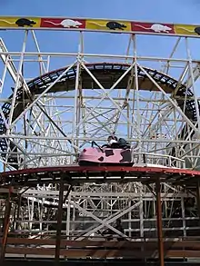 Wild Mouse
