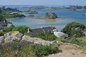 Vue de la chapelle Saint-Michel vers le nord-ouest de l'île de Bréhat.