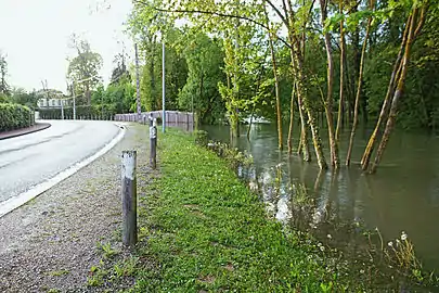 Confluence de la Seine et de l'Hozain...