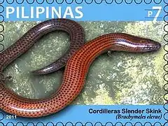 Description de l'image Brachymeles elerae 2011 stamp of the Philippines.jpg.