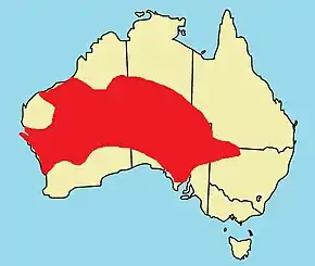 Description de l'image Brachyurophis fasciolatus distribution map.jpg.