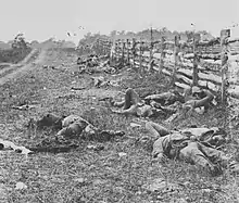 Photographie en noir et blanc montrant plusieurs cadavres de soldats sur le sol, le long d'une clôture en bois.