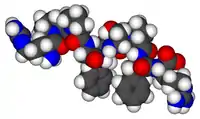 Image illustrative de l’article Bradykinine