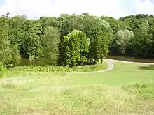 Un terrain gazonné traversé par un chemin ; au fond, des arbres et un étang.