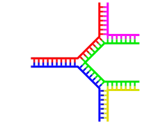 Ramifications mutliples