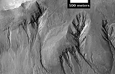 Ravines dans la région de Sirenum Fossae, par 38,9° S et 195,9° E.