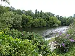 Bras de la Dordogne à Carennac.