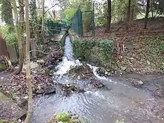 Bras vif à la limite de Verrières et de Massy.