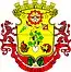 Blason de Videira