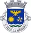 Blason de São Félix da Marinha