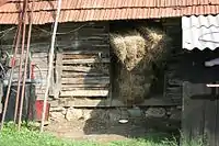 Ferme ancienne à Brasina