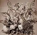 Fleurs, vers 1855