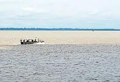 Immense confluence, vue par le travers, où les eaux sombres du rio Negro côtoient longtemps les eaux claires et sablonneuses du Solimões sans se mélanger.