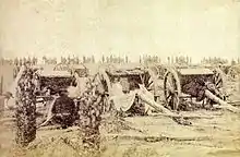 Une très vieille photo montrant un groupe de pièces d’artillerie de campagne avec une rangée de soldats en arrière-plan