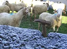 Basco-béarnaises à Laruns (vallée d'Ossau)