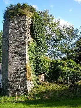 Ruines du château de La Chèze