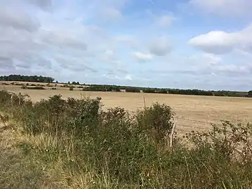 Le bocage à Ciron en 2018.