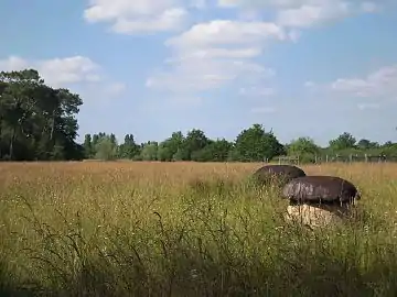 La prairie de l'étang de Bellebouche en 2014.