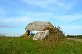 Dolmen dit La Pierre Levée de Soubise.