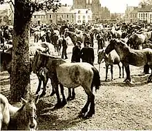 Beaucoup de chevaux et de gens