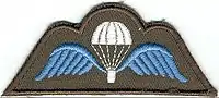 Brevet de qualification Parachutiste