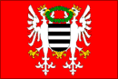 Drapeau de Březnice