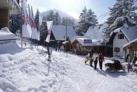 Brezovica (Štrpce)