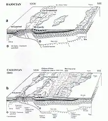  modèles palinspastiques