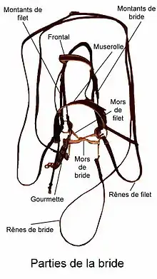 Schéma présentant les différentes parties d'une bride.