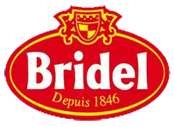 logo de Bridel