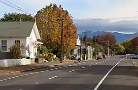 Ongaonga (Nouvelle-Zélande)