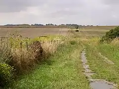 Chemin de Normanton down, près de Stonehenge : sur la gauche, trois tumuli.