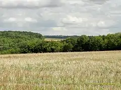 Paysage rural et agricole de la commune.
