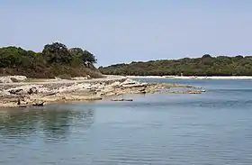 Côte de Veliki Brijun.