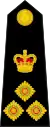 Brigadier