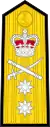 Epaulettes D'un Vice Amiral dans la Royal Navy avant 2001.