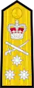 Epaulettes D'un Vice Amiral dans la Royal Navy après 2001.