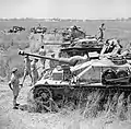 Troupes britanniques inspectant 2  StuG IV armé de leur StuK 40 L/48 (au premier plan), 2 Marder II et deux Semovente M40/75 capturés (Italie, 2 juin 1944).