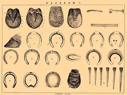 Illustration de différents fers.