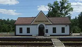Bronnaya Gora, Train Station.jpg