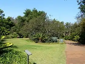 Image illustrative de l’article Jardin botanique national de Pretoria