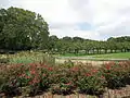 Cranford Rose Garden et Cherry Esplanade