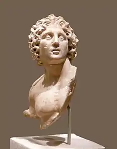 Buste d'Alexandre, Égypte ptolémaïque, vers le Ier siècle av. J.-C.