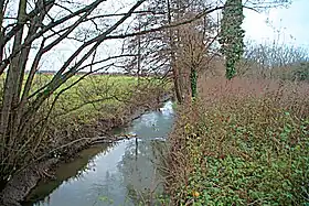 photographie représentant le cours de la rivière l'Ancre