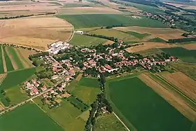 Bučina